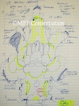 NOTES